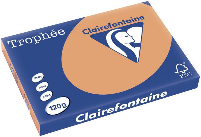 Clairefontaine Trophée Pastel gekleurd papier A3 120 g 250 vel mokkabruin
