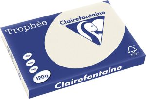 Clairefontaine Trophée Pastel gekleurd papier A3 120 g 250 vel parelgrijs
