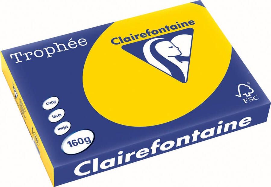 Clairefontaine TrophÃÂ©e Pastel gekleurd papier A3 160 g 250 vel goudgeel