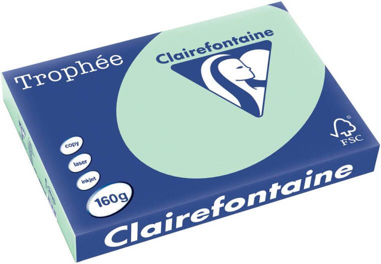 Clairefontaine Trophée Pastel gekleurd papier A3 160 g 250 vel groen