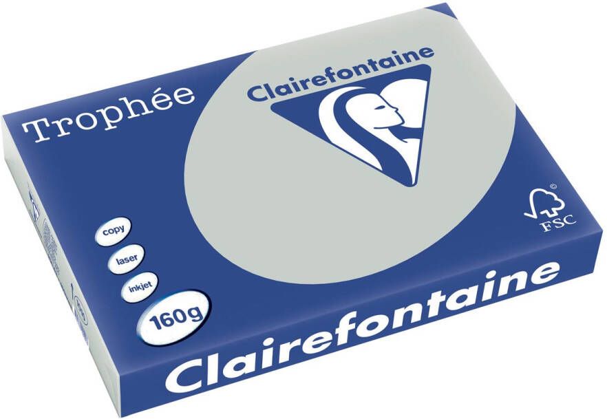 Clairefontaine Trophée Pastel gekleurd papier A3 160 g 250 vel lichtgrijs