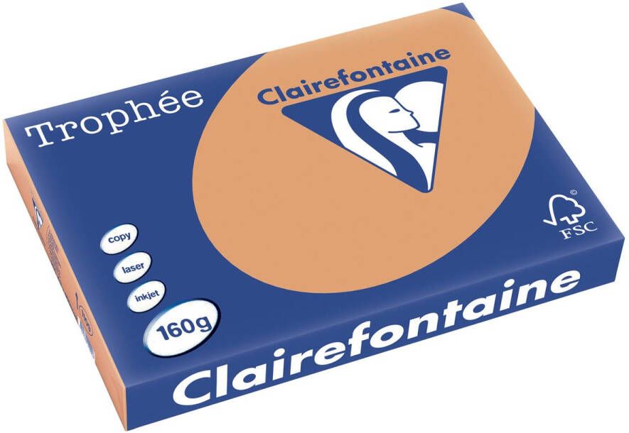 Clairefontaine Trophée Pastel gekleurd papier A3 160 g 250 vel mokkabruin
