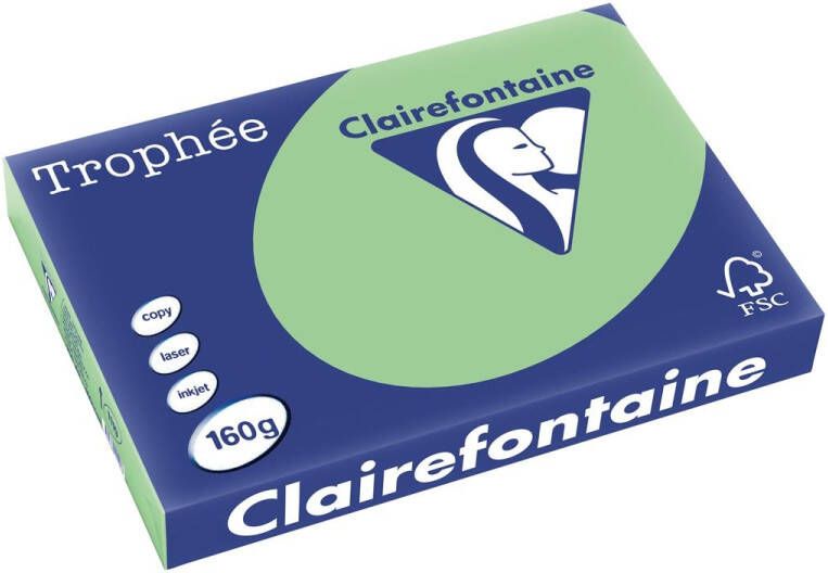 Clairefontaine Trophée Pastel gekleurd papier A3 160 g 250 vel natuurgroen