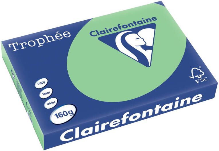 Clairefontaine Trophée Pastel gekleurd papier A3 160 g 250 vel natuurgroen