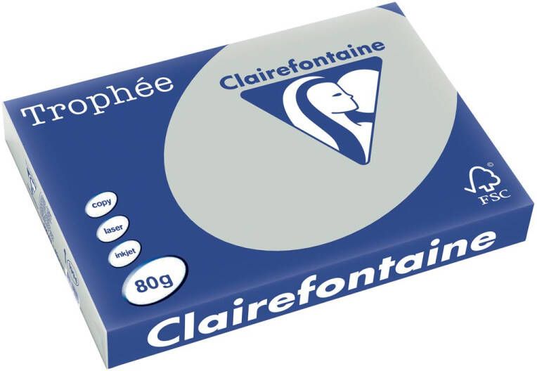 Clairefontaine Trophée Pastel gekleurd papier A3 80 g 500 vel lichtgrijs