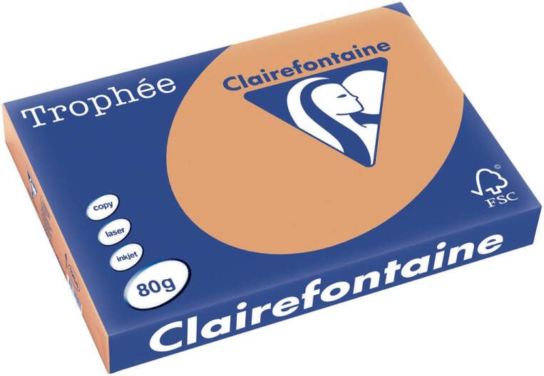 Clairefontaine Trophée Pastel gekleurd papier A3 80 g 500 vel mokkabruin