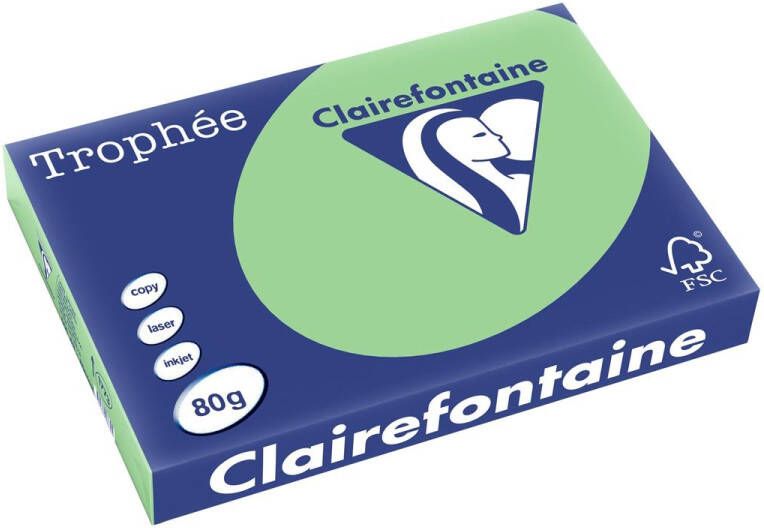 Clairefontaine TrophÃÂ©e Pastel gekleurd papier A3 80 g 500 vel natuurgroen