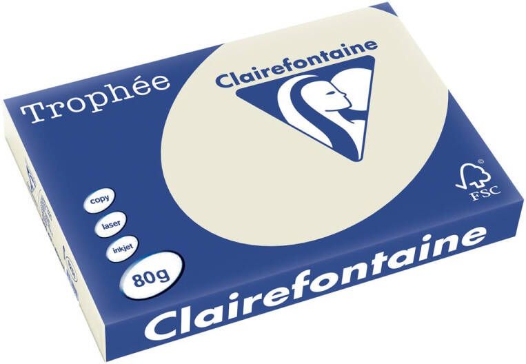 Clairefontaine Trophée Pastel gekleurd papier A3 80 g 500 vel parelgrijs