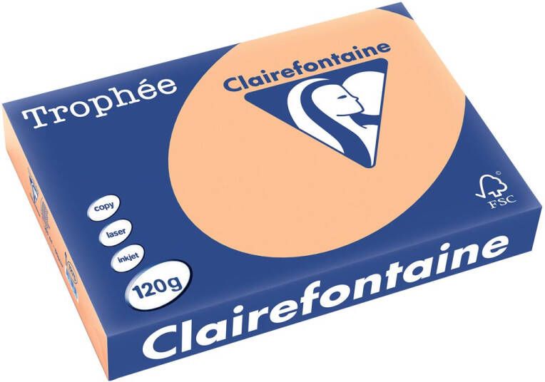 Clairefontaine Trophée Pastel gekleurd papier A4 120 g 250 vel abrikoos