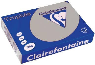 Clairefontaine Trophée Pastel gekleurd papier A4 120 g 250 vel lichtgrijs