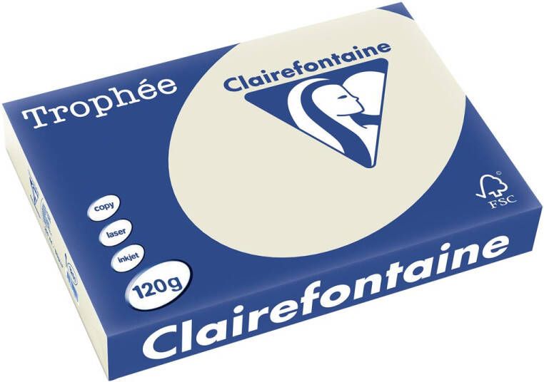 Clairefontaine Trophée Pastel gekleurd papier A4 120 g 250 vel parelgrijs