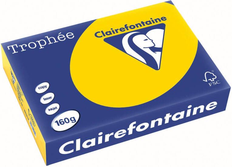 Clairefontaine Trophée Pastel gekleurd papier A4 160 g 250 vel goudgeel
