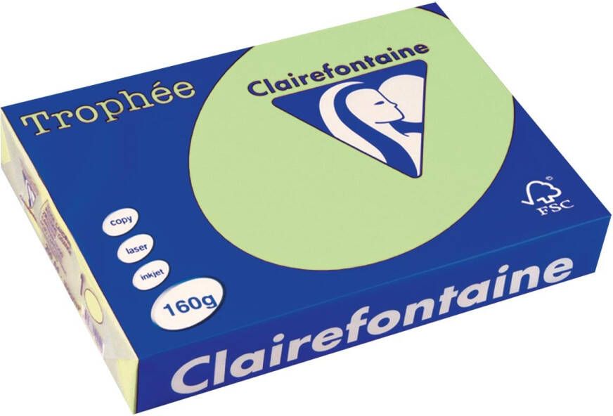 Clairefontaine Trophée Pastel gekleurd papier A4 160 g 250 vel groen
