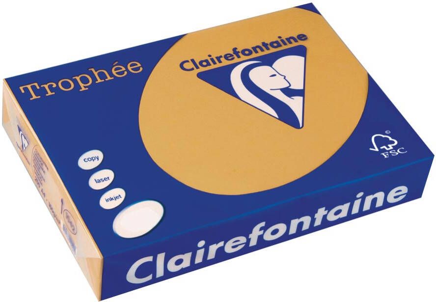 Clairefontaine Trophée Pastel gekleurd papier A4 160 g 250 vel mokkabruin