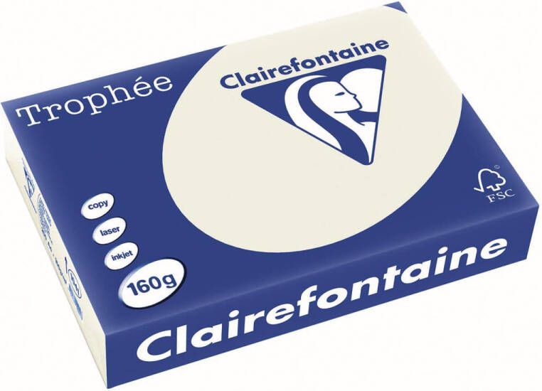 Clairefontaine Trophée Pastel gekleurd papier A4 160 g 250 vel parelgrijs