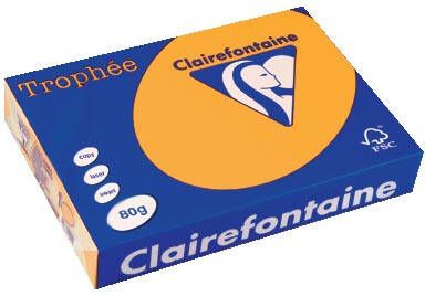 Clairefontaine Trophée Pastel gekleurd papier A4 80 g 500 vel goudgeel