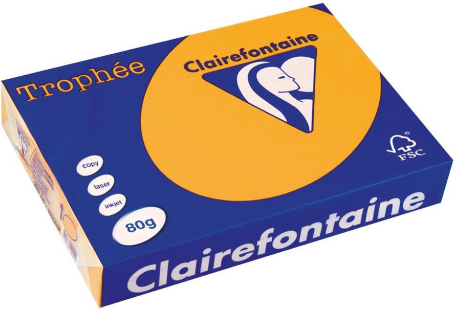 Clairefontaine TrophÃÂ©e Pastel gekleurd papier A4 80 g 500 vel goudgeel