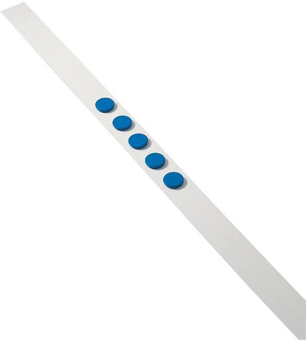 Dahle wandlijst lengte 1 m met 5 blauwe magneten diameter 32 mm