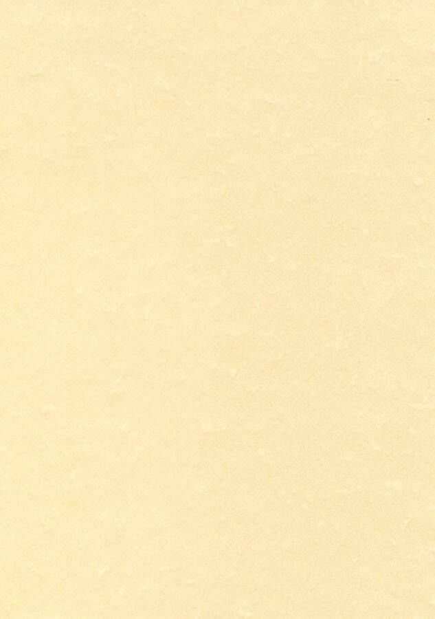 Decadry structuurpapier champagne 165 g pak van 50 vel