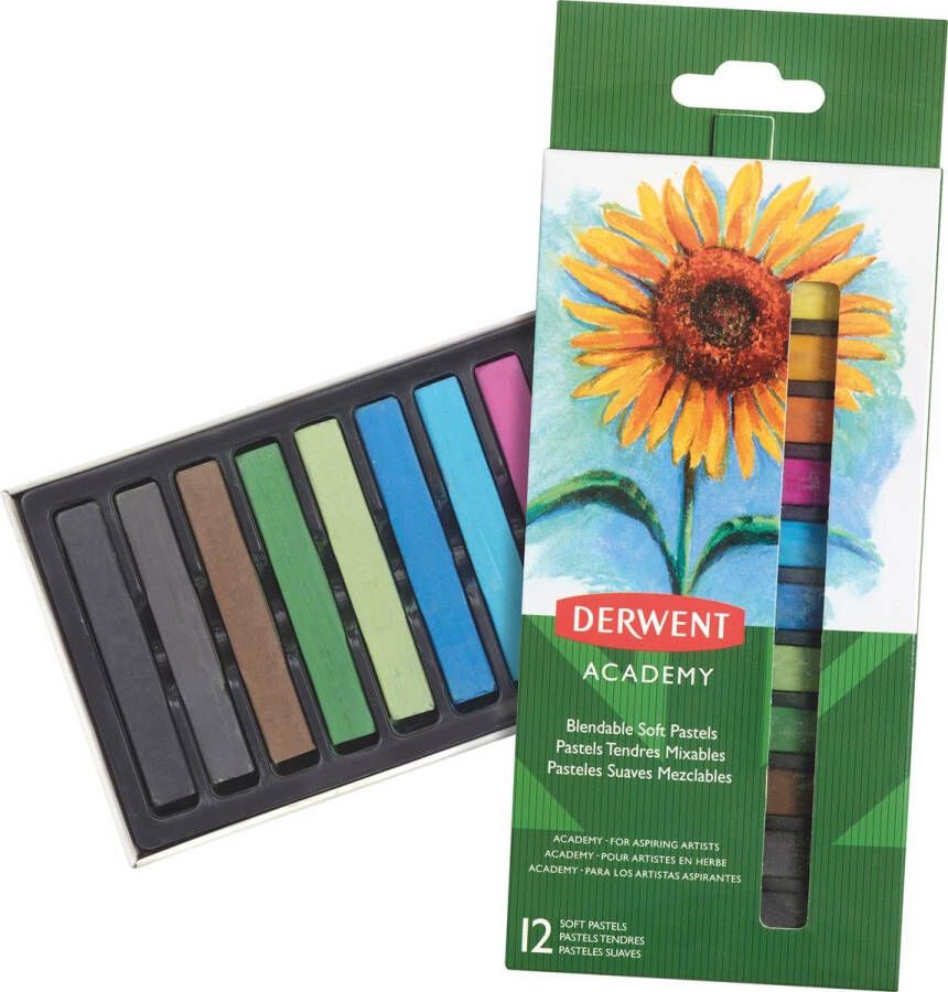 Derwent softpastels Academy blister van 12 stuks in geassorteerde kleuren