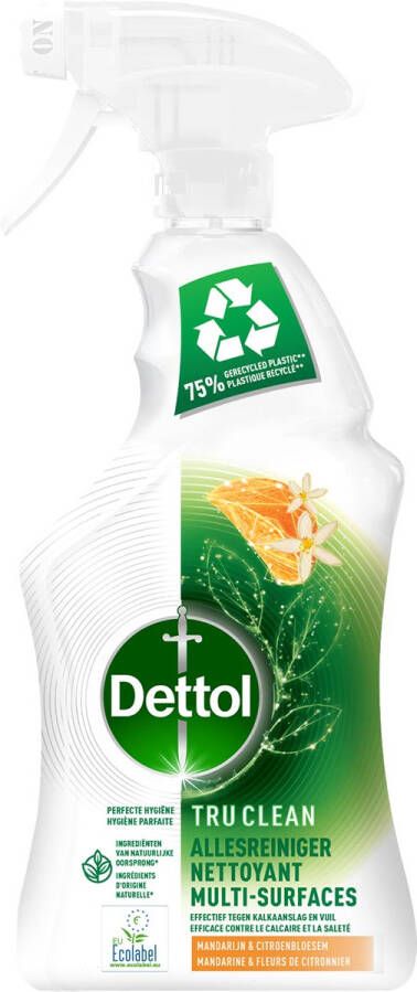 Dettol allesreiniger mandarijn en citroenbloesem spray van 500 ml