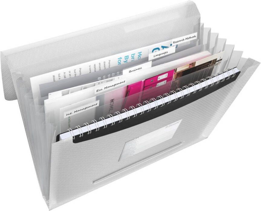 Esselte Projectmap Vivida A4 6 vakken PP wit