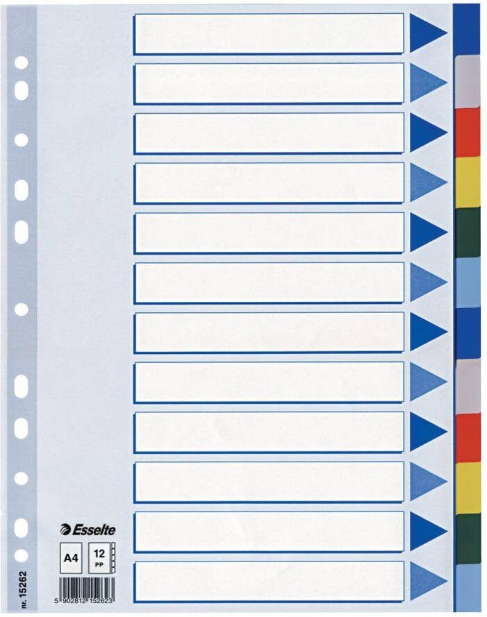 OfficeTown Esselte tabbladen 12 tabs