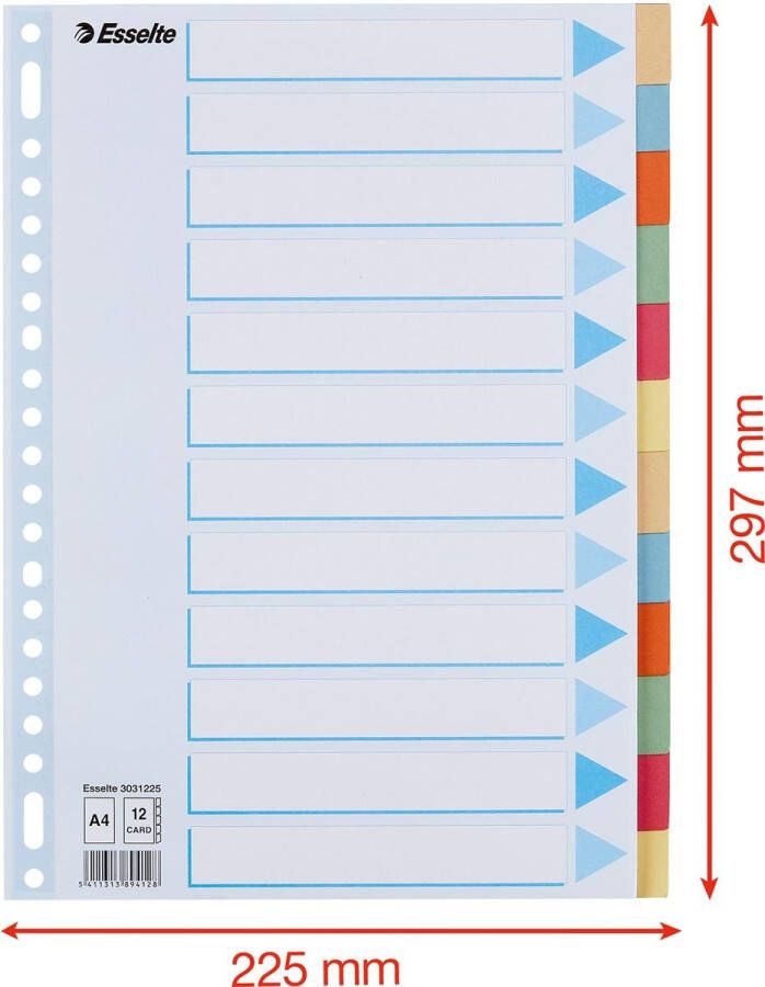 Esselte Tabbladen Premium A4 12-delig karton 23-rings assorti - Foto 2