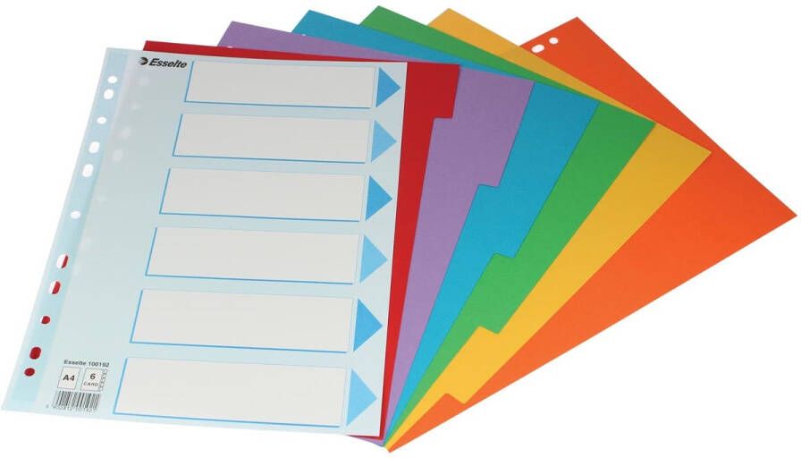 Esselte Tabbladen Standaard A4 6-delig karton 11-rings met voorblad assorti