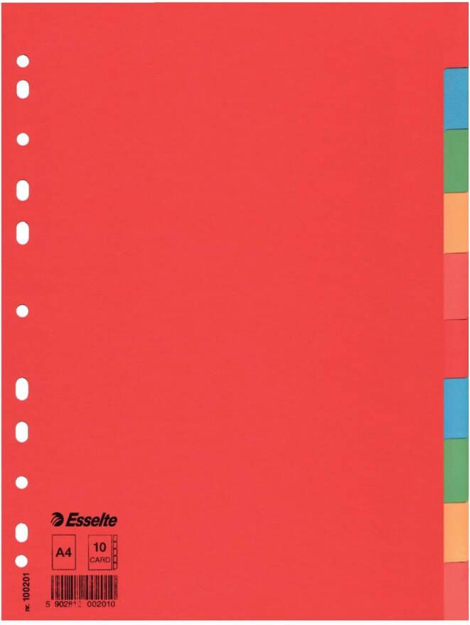 Esselte Tabbladen Economy A4 10-delig karton 11-rings assorti - Foto 2