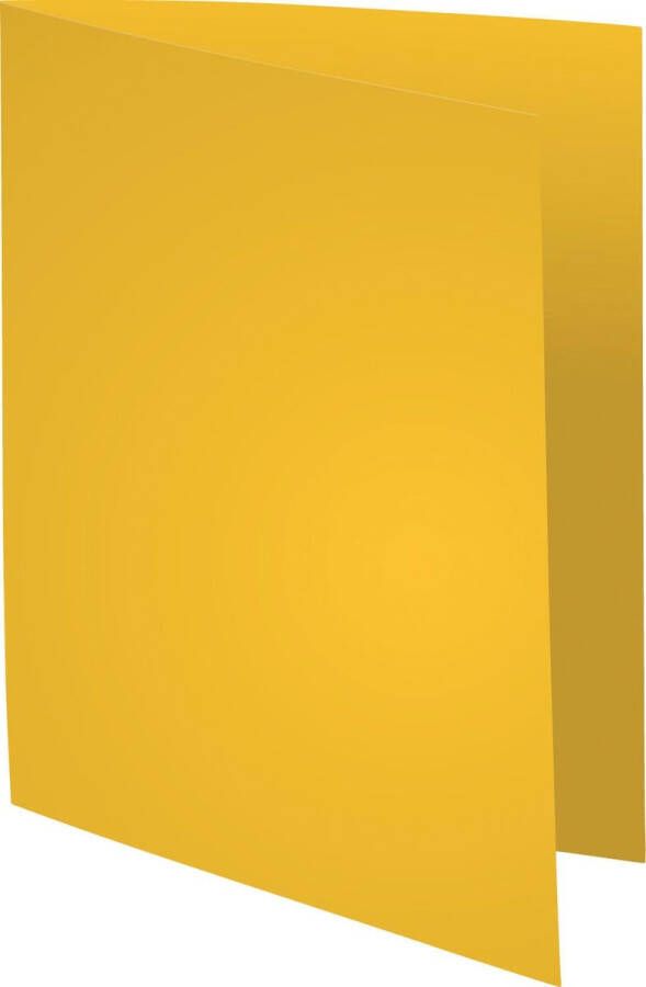 Exacompta Vouwmap Forever A4 170gr kanariegeel 100 stuks