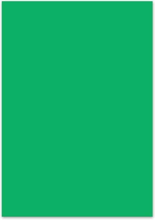 Folia Creakit fotokarton 50 x 70 cm 300 g pak van 25 vel smaragdgroen