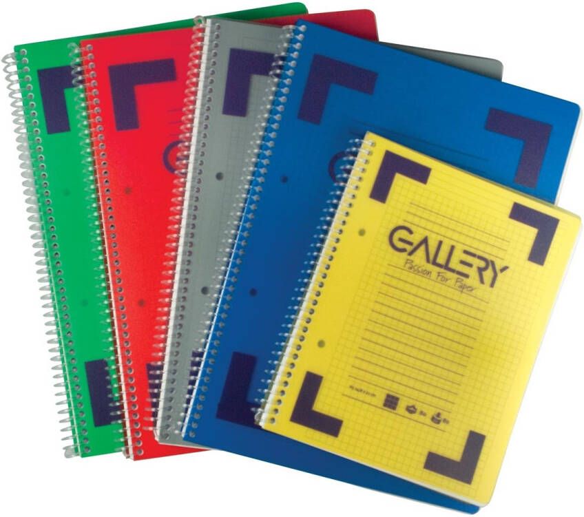Gallery Traditional spiraalschrift ft A5 geruit 5 mm geassorteerde kleuren 160 bladzijden