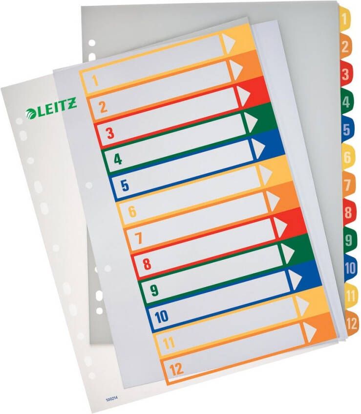 Leitz Esselte pc printbare project indexen 12 tabs