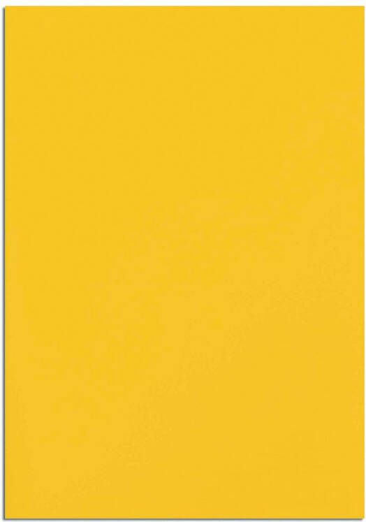 Maul magneetbladen ft 20 x 30 cm blister van 1 stuk geel