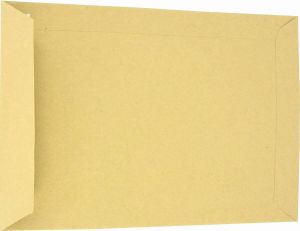 Merkloos Enveloppen ft 162 x 229 mm stripsluiting uit kraft papier van 90 g bruin doos van 500 stuks