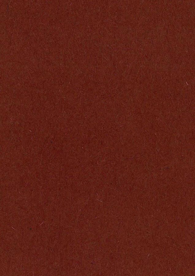Merkloos Gekleurd tekenpapier 120 g ft 21 x 29 7 A4 bruin pak van 500 vel