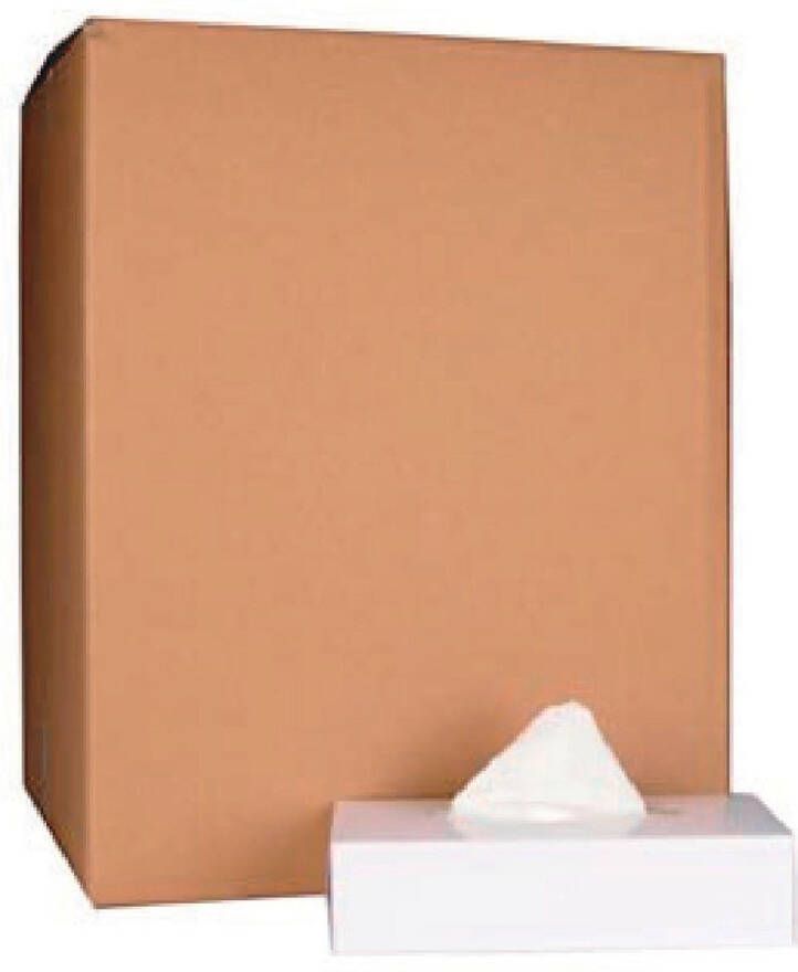 Merkloos Papieren zakdoek 2-laags 100 tissues per doos pak van 40 doosjes