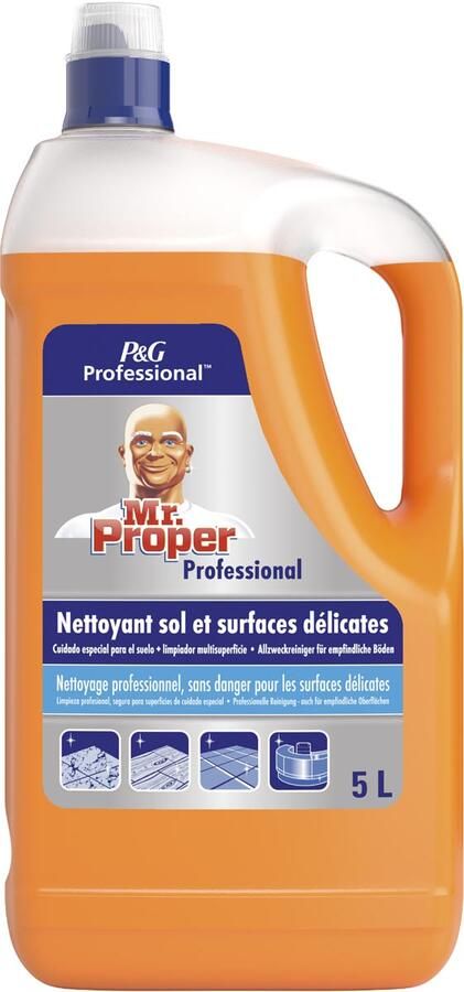 Mr. Proper allesreiniger delicate fles van 5 liter