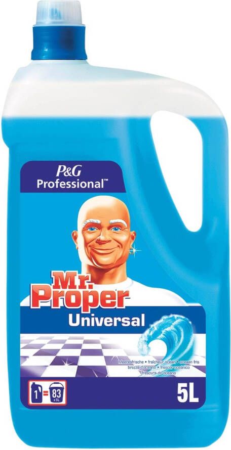 Mr. Proper allesreiniger oceaan fles van 5 liter