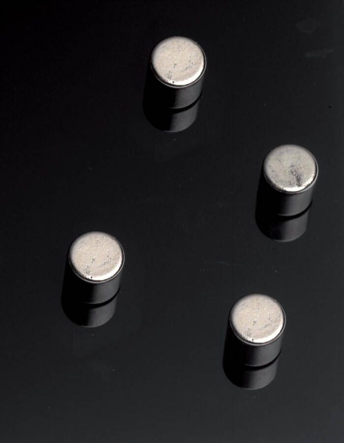 Naga magneet voor glasborden cilinder 4 stuks