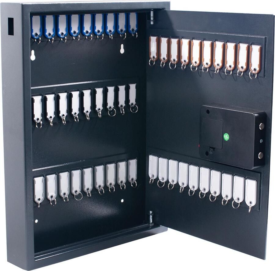 Pavo Sleutelkast High security Magnettag 50 haken 575x450x77mm