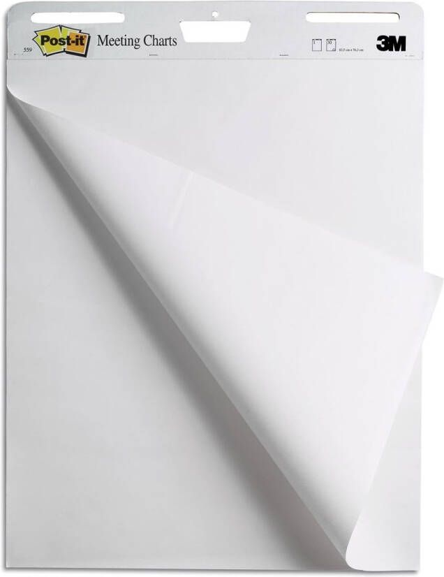 Post-It Super Sticky Post-it meeting chart ft 63 5 x 77 5 cm blanco 30 vel pak van 2 blokken