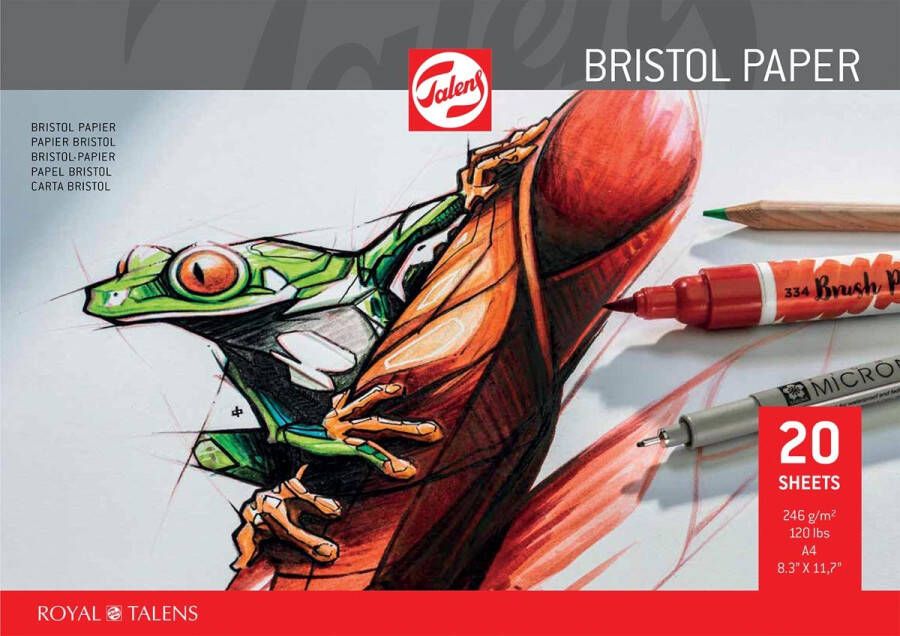 Royal Talens Bristol papier 250 g ft 21 x 29 7 cm A4 blok van 20 vel