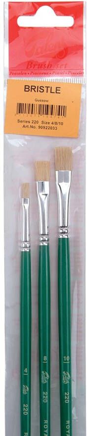 Penseel Talens hobby &amp school serie 220 blister 3 stuks nr 4 8 en 10