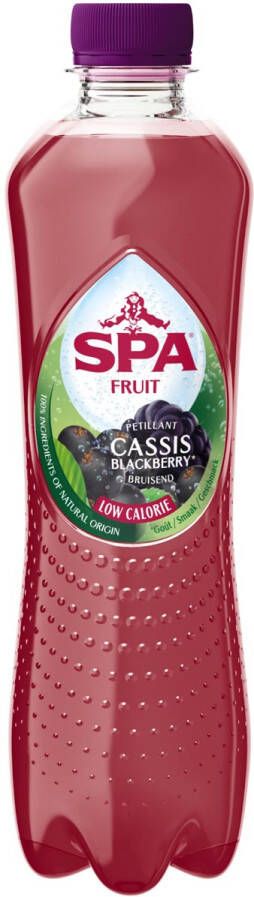 Spa Fruit Sparkling Cassis Blackberry fles van 40 cl pak van 6 stuks