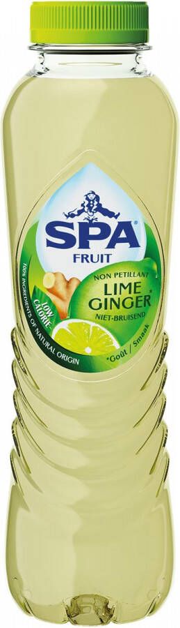 Spa Fruit Still lime-ginger fles van 40 cl pak van 24 stuks