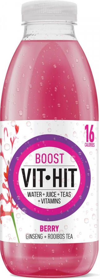 Vit Hit vitaminedrank Boost flesje van 50 cl pak van 12 stuks