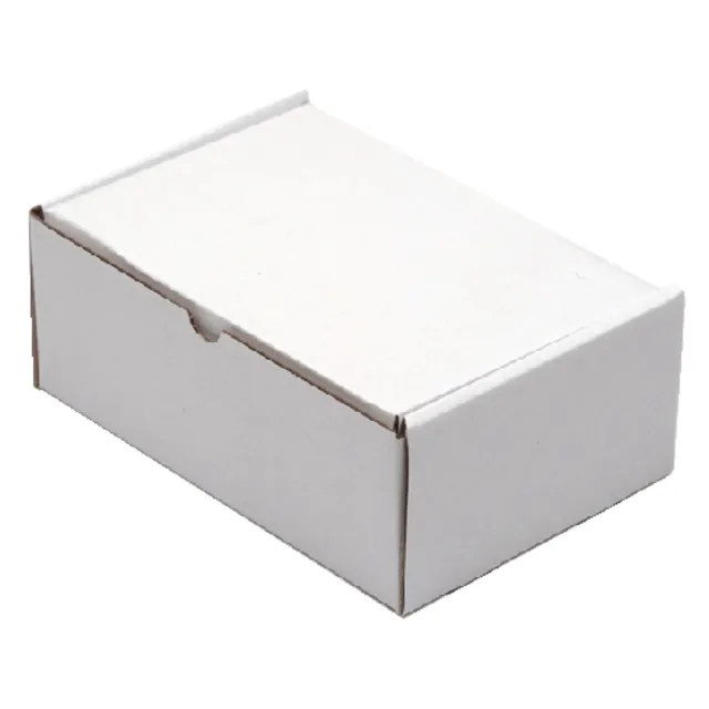 Cleverpack Postpakket CleverPack golfkarton 220x160x90mm wit pak à 5 stuks