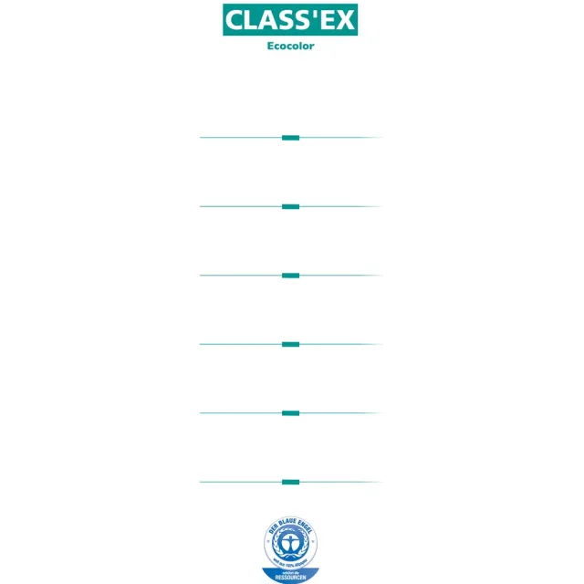 Classex Class'ex rugetiketten (voor Class'ex 1242-reeks) , rug van 8 cm, pak van 10 stuks wit